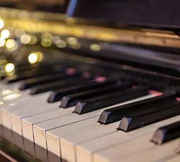 Flügeltransport professionell Umzug