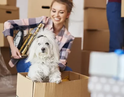 Umzug mit Haustieren Hund Transportbox