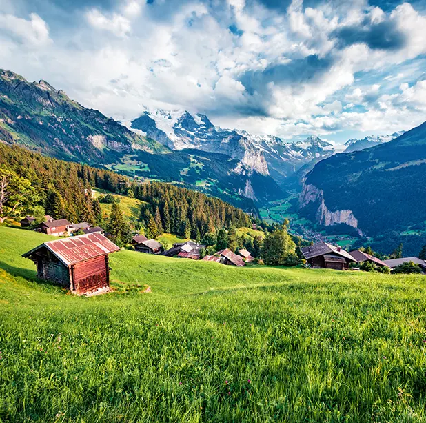 Offerten für Umzugsunternehmen Winterthur online anfordern